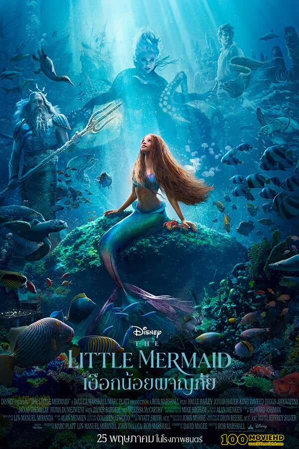 ดูหนังออนไลน์ฟรี THE LITTLE MERMAID (2023) เงือกน้อยผจญภัย